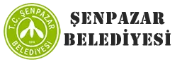 Senpazar Municipality Drinking Water Treatment Plant